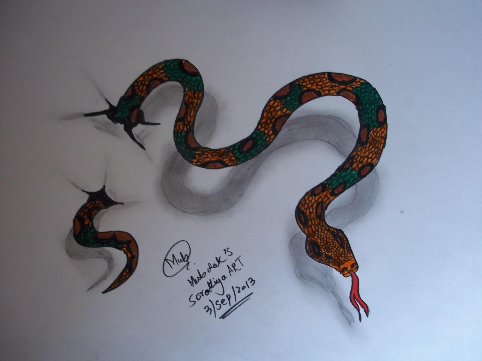 snake on paper