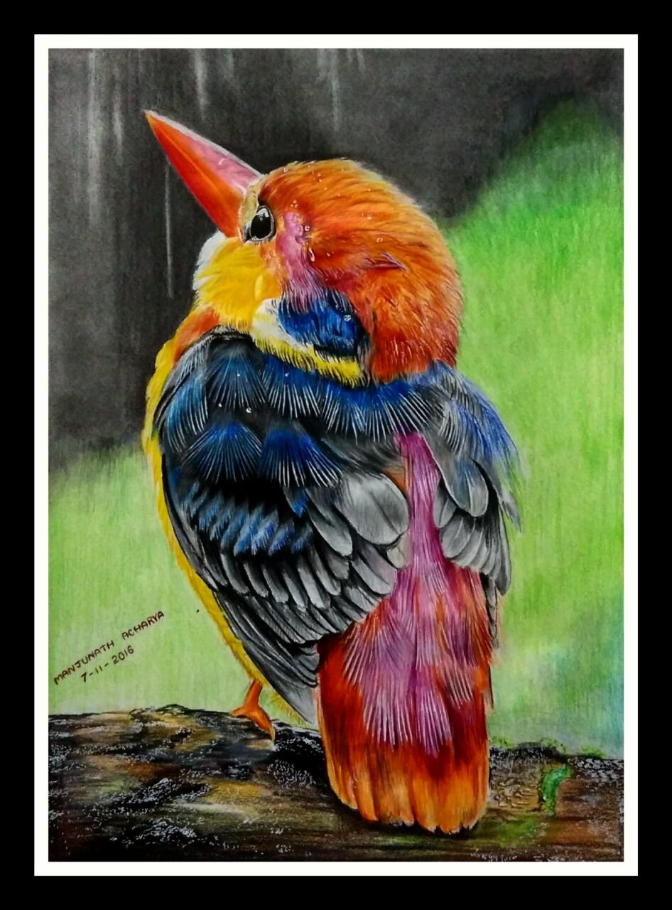Colour pencil drawing